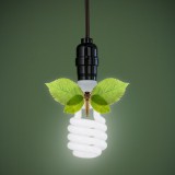 Digital Imaging and Retouching